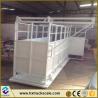 China AC110V/220V Power Supply 1.2*1.5m 500kg 1000kg 1500kg Balance Livestock Scale for Accurate Cattle Weighing at a wholesale