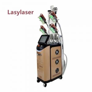 360 Degree Cryolipolysis Slimming Machine 4 Handle Fat Freeze