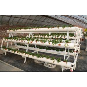 China Transparent Greenhouse Strawberry Production , Anti Fog Plastic Film Greenhouse supplier