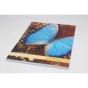 Butterfly Pattern CMYK Full Color Paperback Offset Paper Notebook Printing Services
