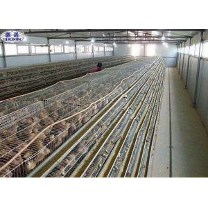 China Simple Q235 Quail Laying Cage 800 Birds Capacity Long Working Using Life supplier