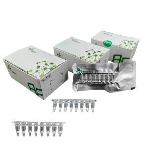 China Kit de amplificación isotérmica de ácido nucleico de ARN rápido EXO para uso en laboratorio wholesale
