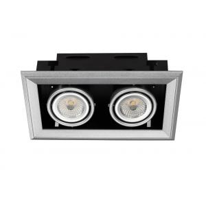 China AC 100-240V LED Recessed Ceiling Downlight 2*10W from Hi-semicon for Indoor Area supplier