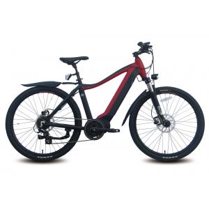 China Aluminum Electric Bike Facotry Direct Wholesale Ebike Hybird Pedal Throttle City Bike All-Terrian Mountain Electric bike supplier