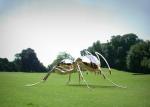 Stainless Steel Sculpture Ant Garden Art Metal Modern Animal Customized