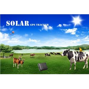 China Solar GPS tracker for animal/anti-remove alarm & sos alarm with google map SMS alert supplier