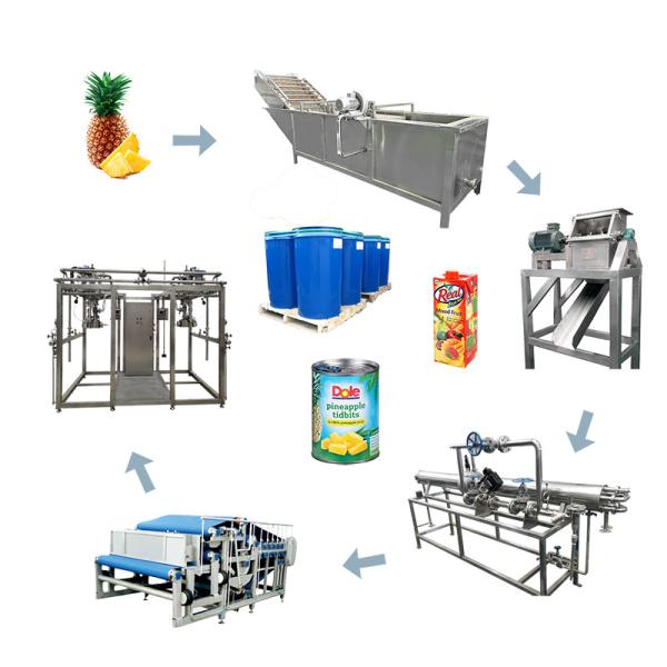 Pineapple Processing Line for Juice Concentrate and Dried Fruit