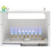 China OEM Greenhouse Carbon Dioxide Generator For Plants Grow Room on sale