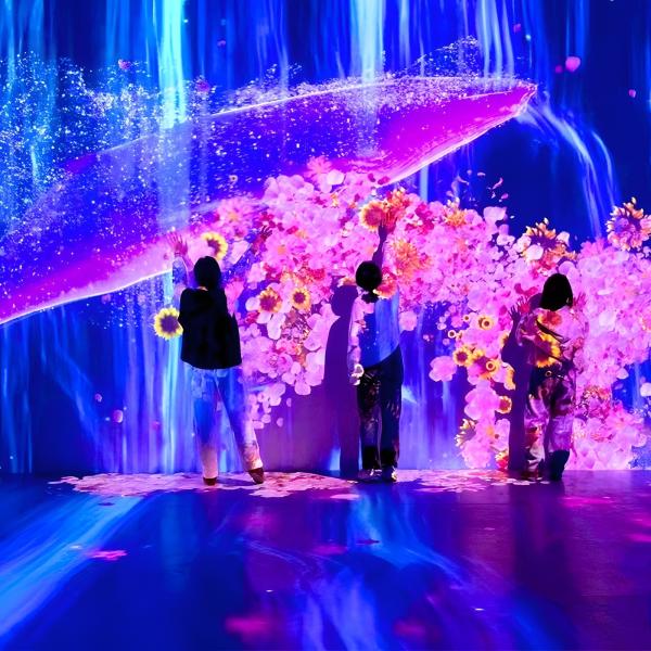 Hotel Decoration 3d Holographic Interactive Wall Projection Software Projector