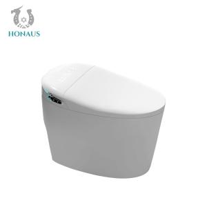 Dubai Hotel Smart Intelligent Toilet Luxury Multi Cleaning Customized