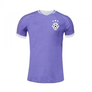 Customized 100% Polyester Fan Player Versions Jerseys In Various Colors