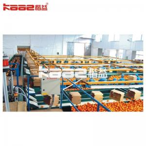 China Automatic Photoelectric Fruit Sorting System Equipment For Grading Of Fruits And Vegetables supplier