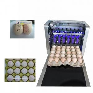 Eggs Batch Code Food Inkjet Printer , Continuous Laser Marking Machine 
