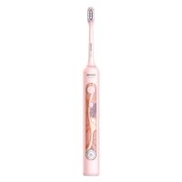 Carregamento rápido adulto ultrassônico da escova de dentes elétrica impermeável com os 4 modos