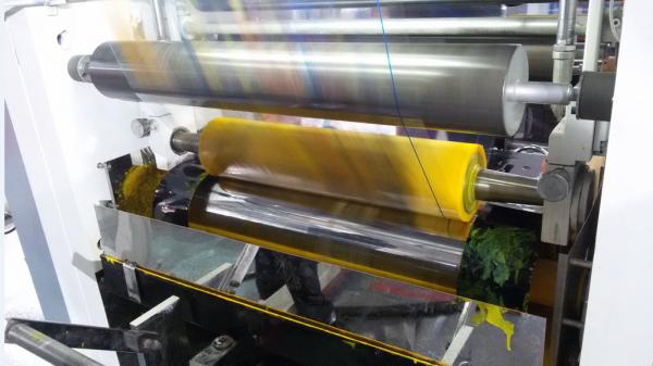 ELS BOPP PET New Manual Printing Machine Price 300m/min 750mm unwind/rewind 3
