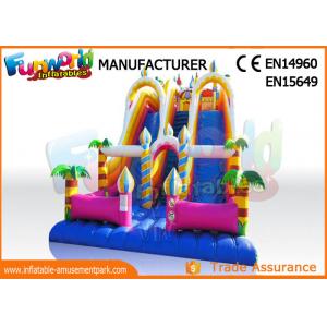Giant Vinyl Commercial Inflatable Slide / Double Inflatable Playground Slide