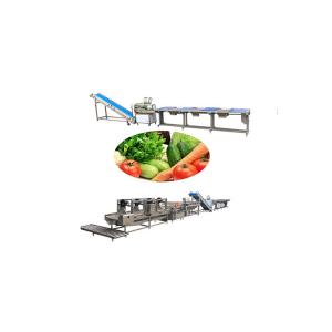 10KW Vegetable Salad Cabbage Lettuce Washing Production Line