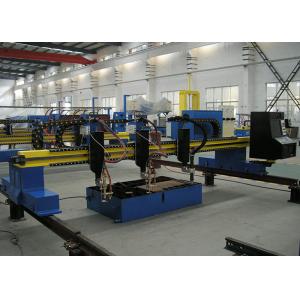 2 Gas Torch Gantry CNC Plasma Gas Cutting Machine 1 Plasma Torch Multi Operation Language