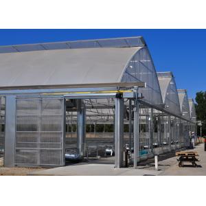 Anti-Fog Plastic Film Greenhouse for Optimal UV Protection and Performance