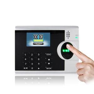 China Web Based  Employee Fingerprint Time Attendance System Stable Connection supplier