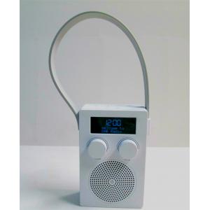 China FM/DAB Radio with water protection supplier