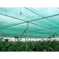 China Hdpe Sun Anti Uv Agriculture Shade Net For Green House To Protect Plants on sale