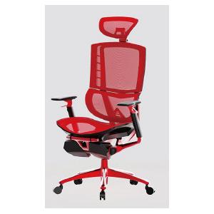 PA Castor Ergonomic Home Office Chair Lumbar Support Polyester Mesh