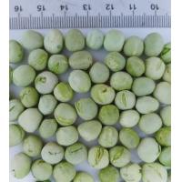 China Moisture Max 8% Dehydrated Green Peas on sale