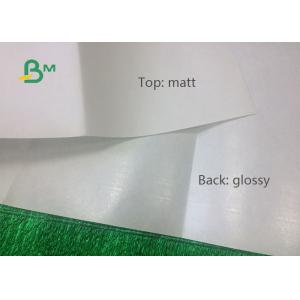 12gsm 15gsm PE Coated White Kraft Paper In Roll For Bread Bags