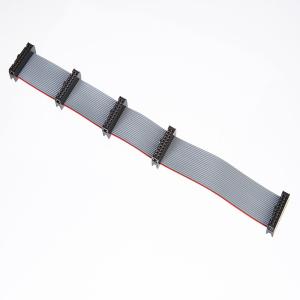 China Cable plano de cadena del Pin Idc del gris IDC 20 del OEM, echada plana del cable de cinta 2.54m m con el zócalo supplier