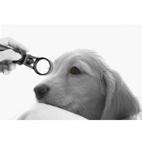 China Magnification 5X Veterinary Ophthalmic Slit Lamp 0.2mm Minium Slit Width on sale