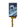 China ROHS 3.97Inch 480X800  RGB Interface IPS TFT LCD Display wholesale