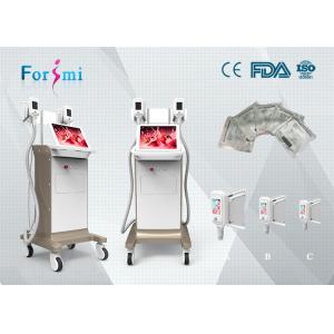 China Body sculpting non surgical triple cooling system Cryolipolysis Slimming Machine FMC-I Fat Freezing Machine supplier