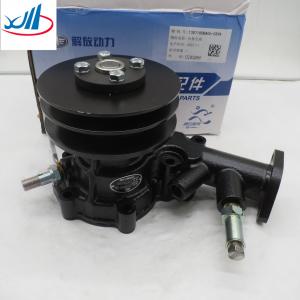 Carton Packing Truck Spare Parts Water Pump Assembly 1307100BA06-CS9A
