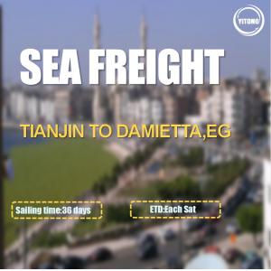 FOB CIF International Sea Freight Logistics From Tianjin To Damietta Egypt