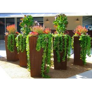 China Modern Style Large Corten Steel Planter Boxes For Outdoor Decoration 80cm Height supplier