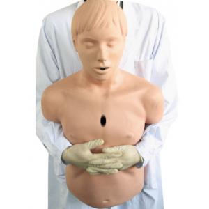 Heidegger の大人の救急処置のための半ボディ航空路モデル/CPR 蘇生の人体摸型