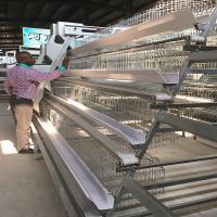 China Galvanized Steel Smart Mini Poultry Cage System 3birds/Door 5doors on sale