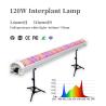 China Full Spectrum Under Canopy Grow Lights 150W One Dual Channels Deep IR LED Grow Light wholesale