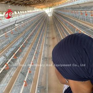China A Type Manual Egg Laying Hens Poultry Cage Emily supplier