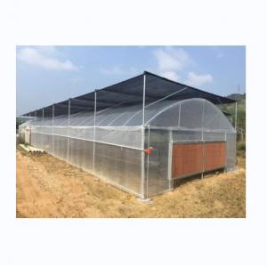 China Small Single Span PE Plastic Film Greenhouse For Vegetable Agriculture 10-100m Length supplier