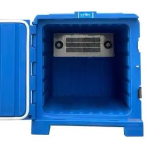 China 1.5m Cooler with 48V DC and Compressors Automatic Temperature Adjustment -5 Degree for Retail Home Use wholesale