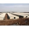 China Automatic Prefab Steel Structure Chicken House Q235 Q345 Steel Frame Shed House wholesale