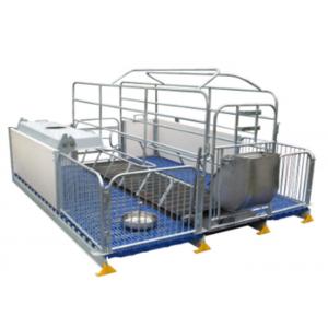 China Stainless Steel Sow Farrowing Crate Pig Farm Adjustable Cast Iron Floor Slat supplier