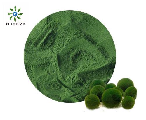 High Protein Organic Chlorella Weight Loss For Healthcare