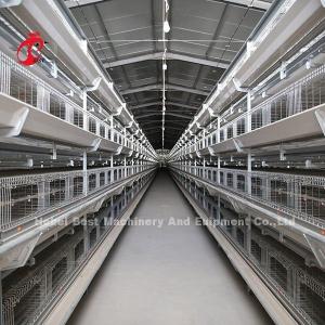 Best Galvanized Egg 3 Tiers Layer Battery Cage System In Kenya Farm Mia