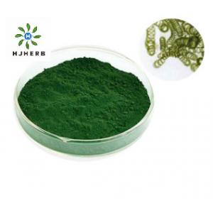 Green Chlorella Natural Chlorella Powder Tablet Health Food Organic Spirulina Powder Vitamin B12
