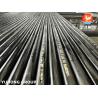 ASME SA213 T22 / 12Cr2Mo Tubos sem costura de aço ligado, utilizados para caldeiras e superqueimadores em usinas de energia