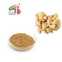 Ginger Extract 5% Gingerol Plant Extract Powder Herb Extract Powder