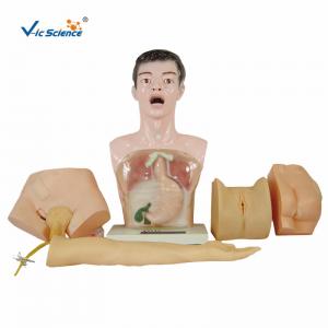 China Nurse Basic Practice Teaching Plastic Medical Training Manikins supplier